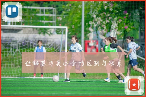 世锦赛与奥运会的区别与联系
