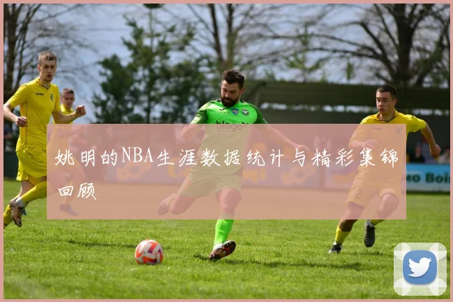 姚明的NBA生涯数据统计与精彩集锦回顾